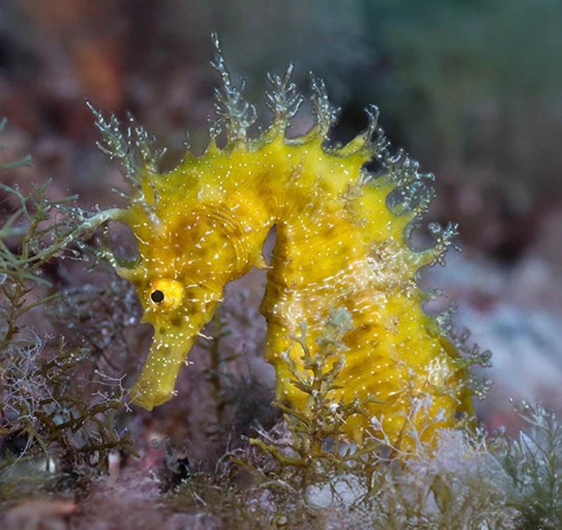 28/02 - 02/03: Balearic Islands