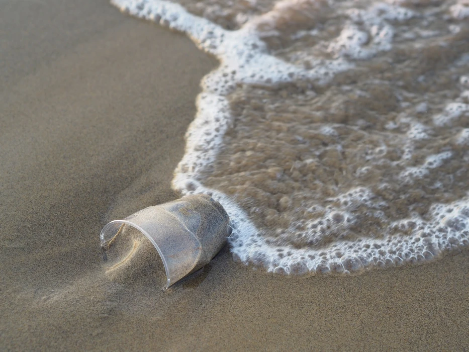 Un compromiso continuo con el medio ambiente: Limpiezas de Playa
