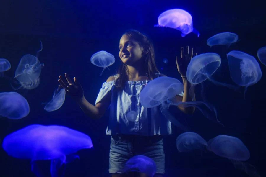 Eintrittskarte + 3D-Kino Aquadome