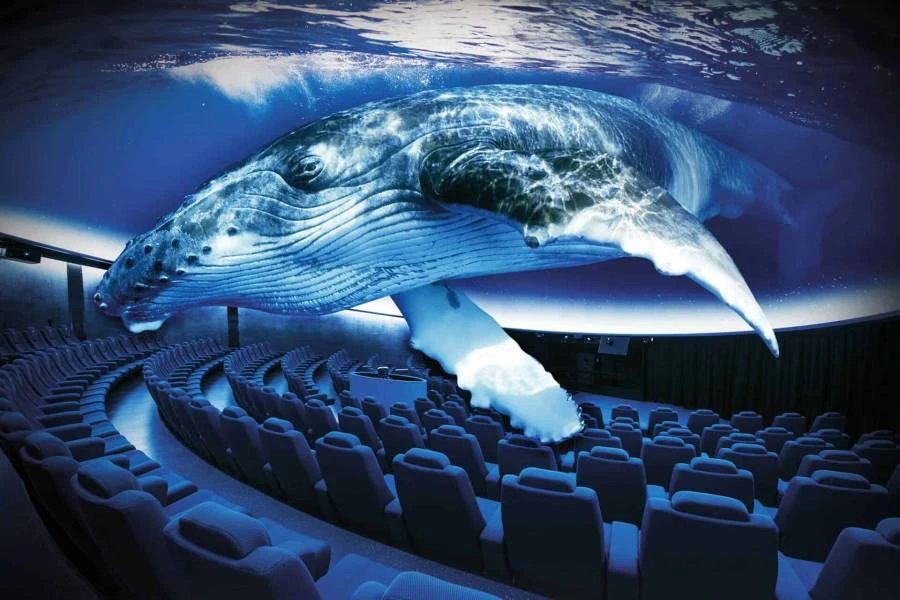 Eintrittskarte + 3D-Kino Aquadome