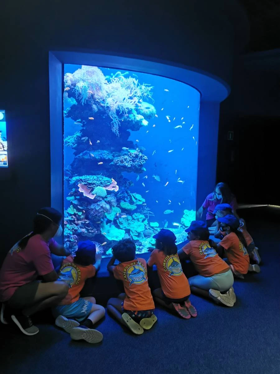 Educational adventures that will captivate your kids!