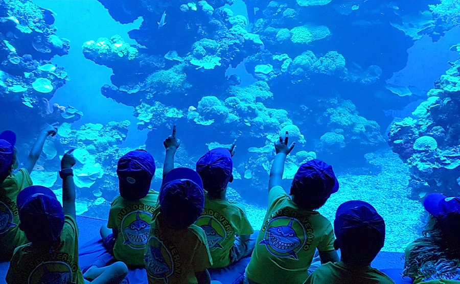 Educational adventures that will captivate your kids!
