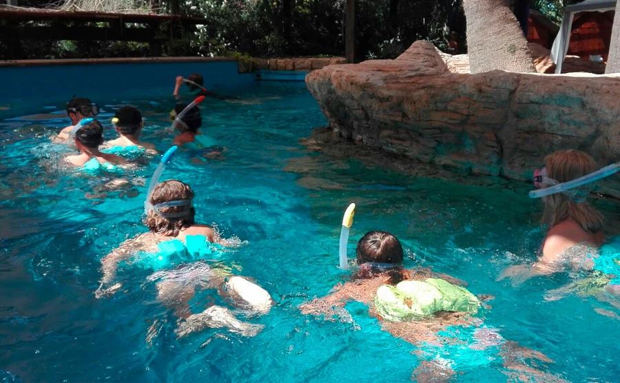 Educational adventures that will captivate your kids!