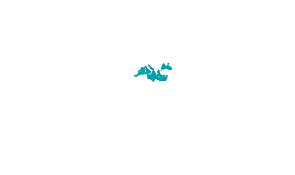 Origin