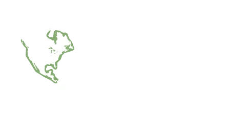 Origin