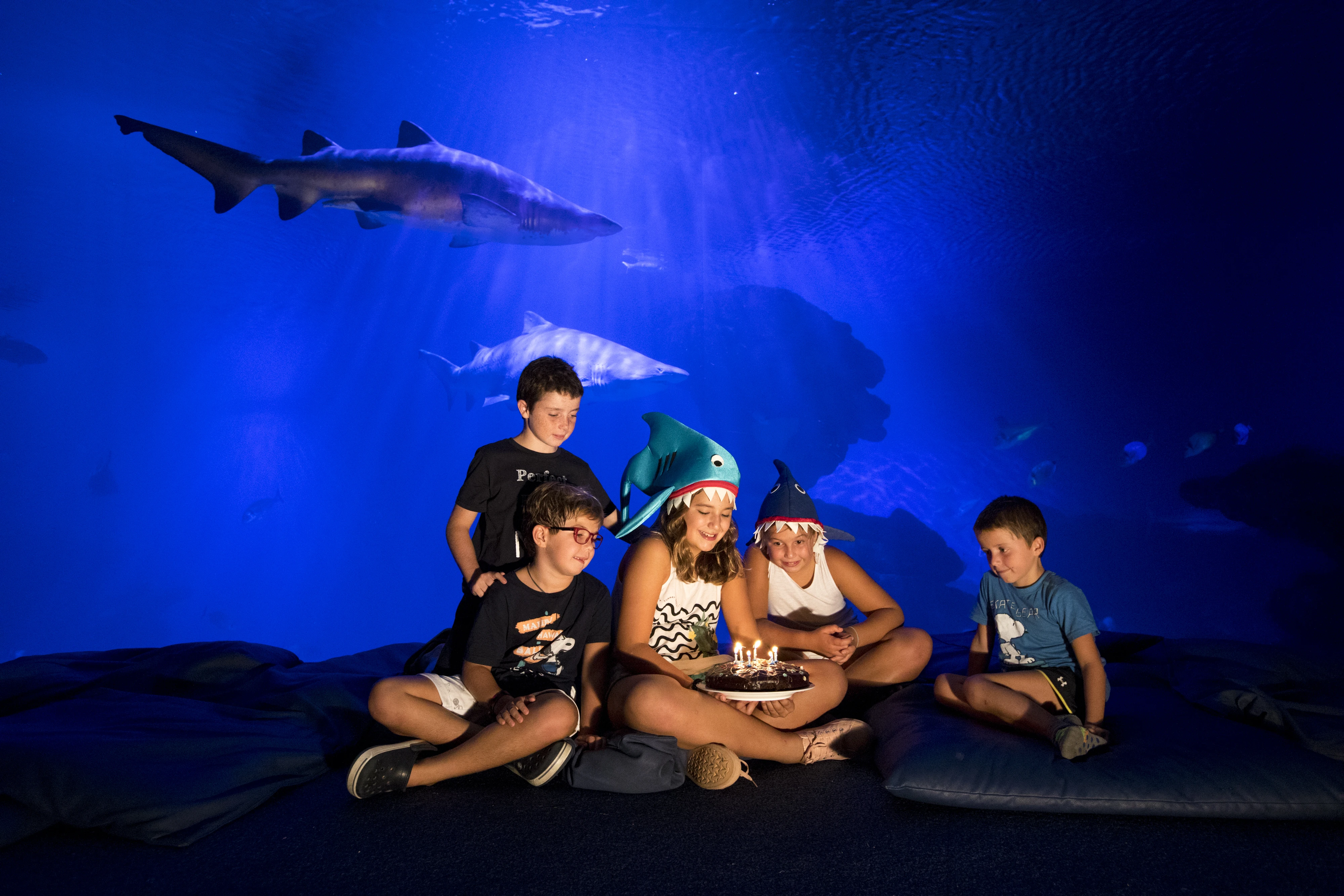 Geburtstagsfeiern (gültig für den Family Ocean Pass)