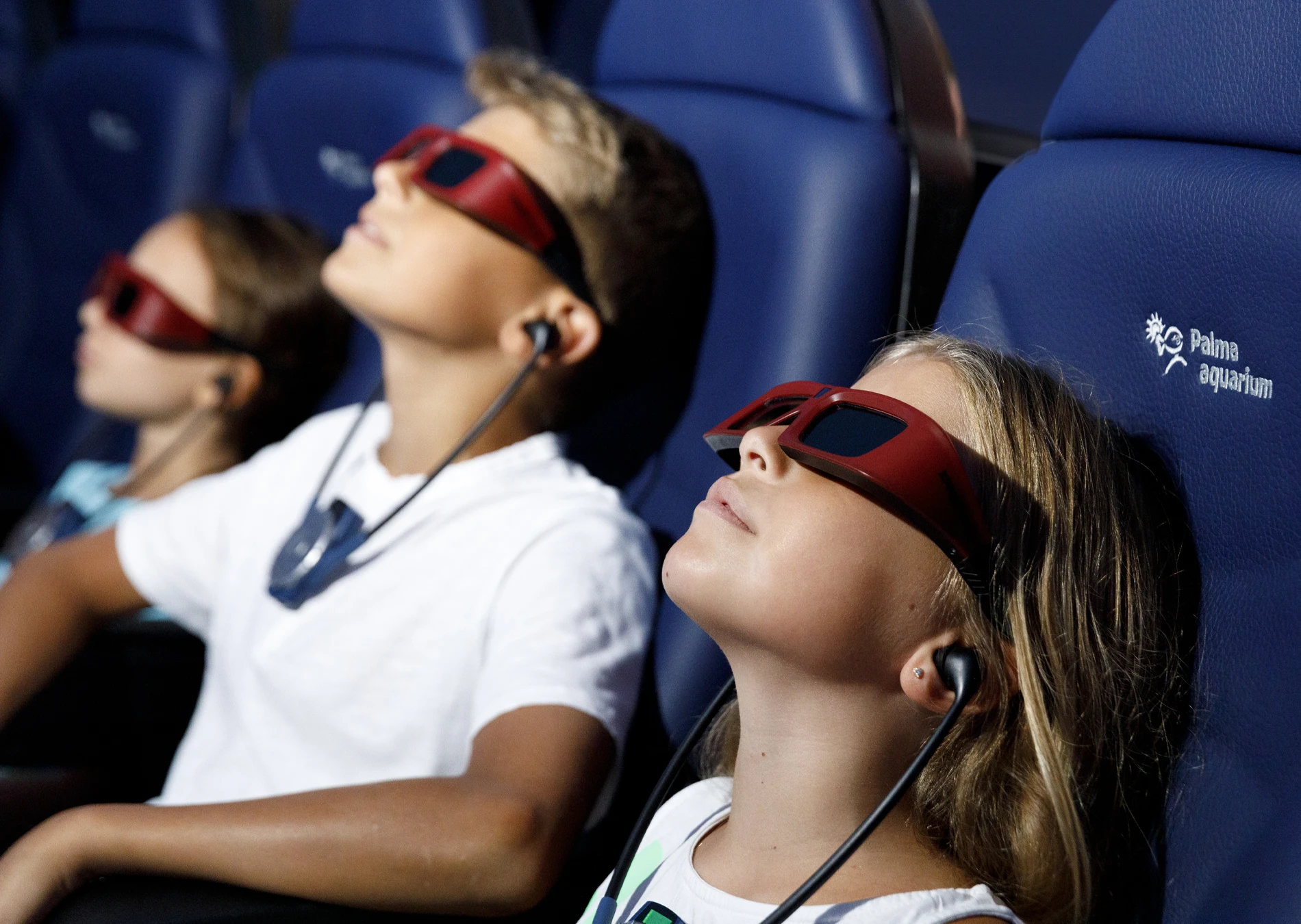 3D Cinema Aquadome