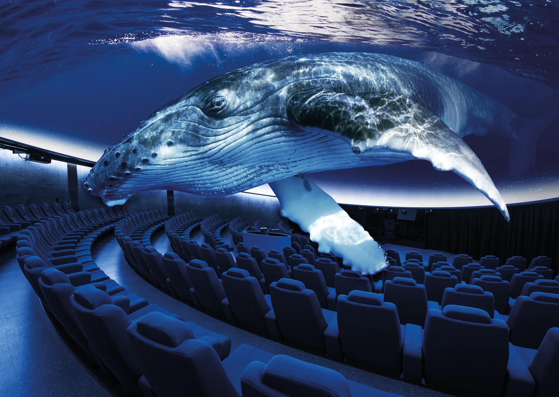 3D Cinema Aquadome