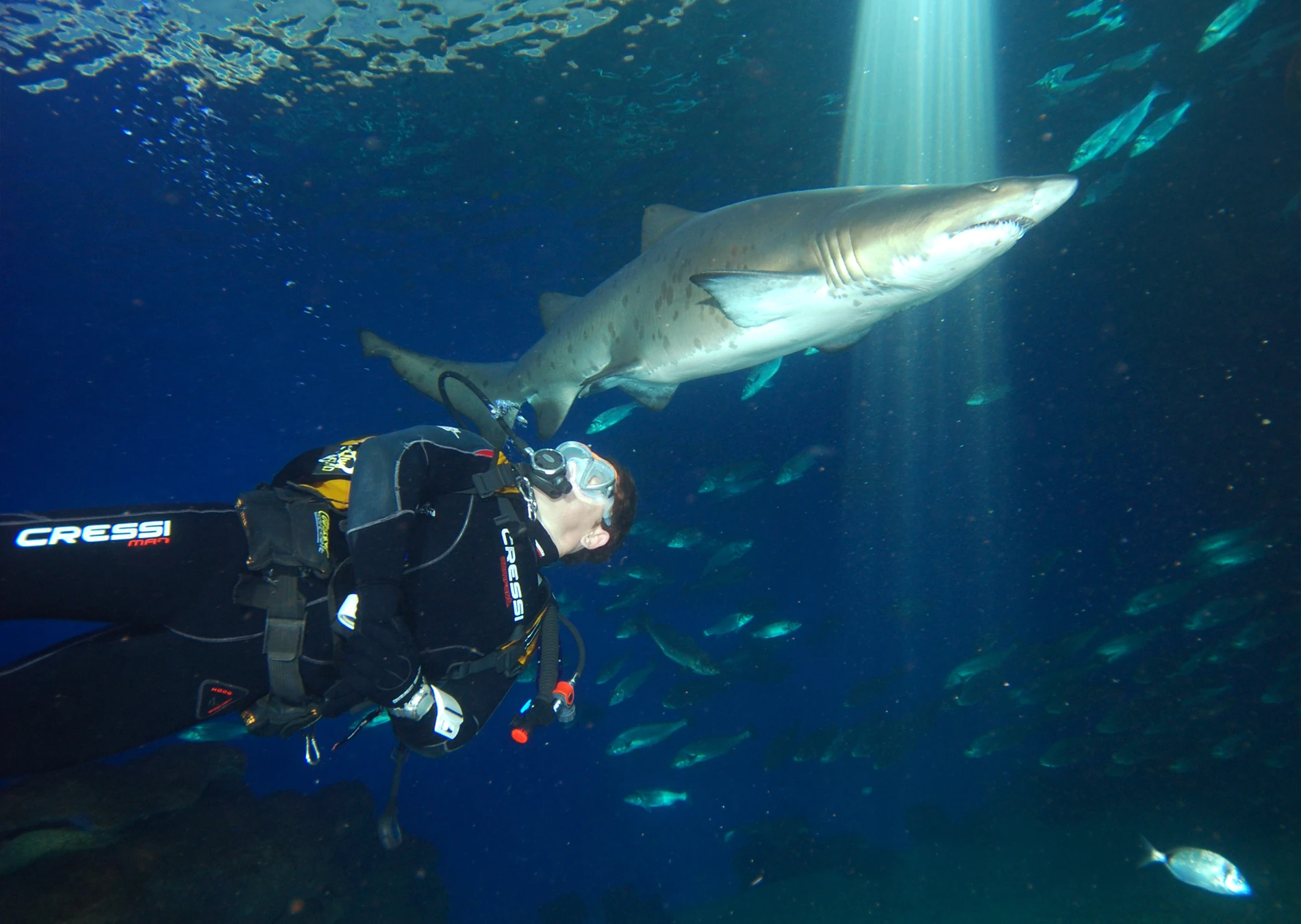 Buceo con Tiburones