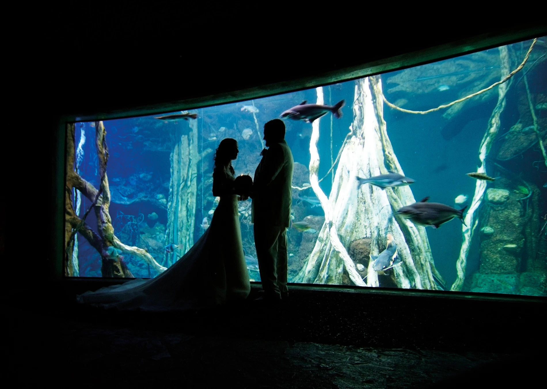 Noces i banquets