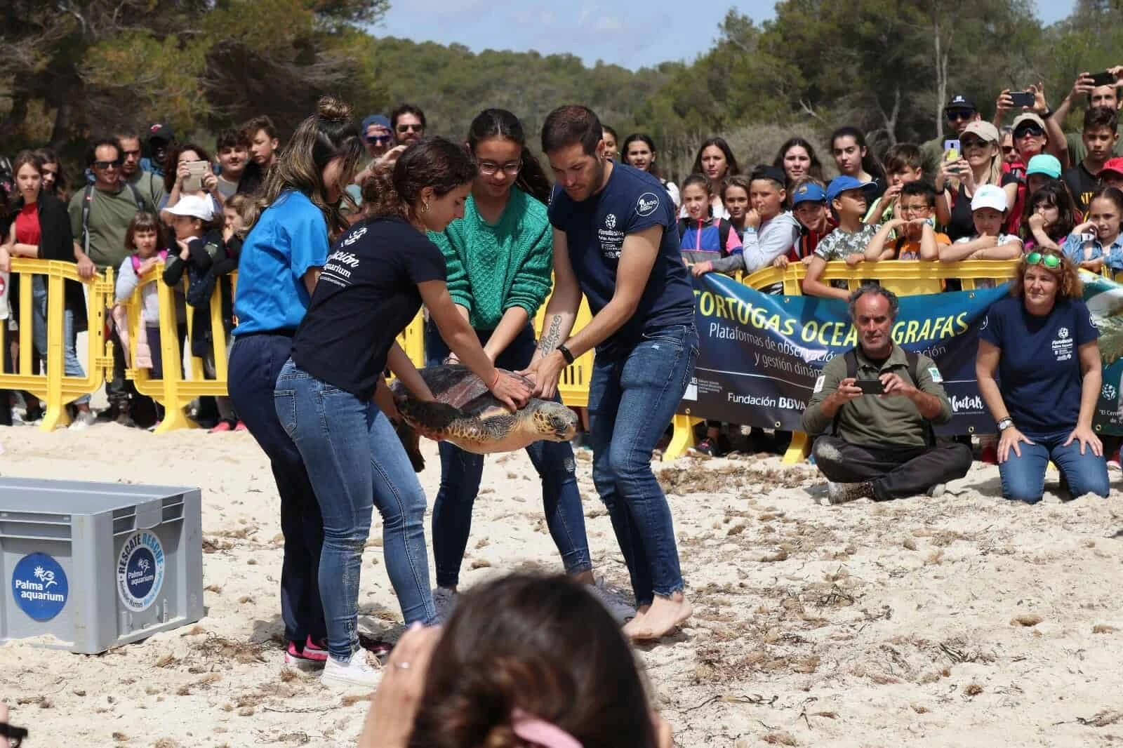 Dos tortugas marinas en recuperación han vuelto al mar