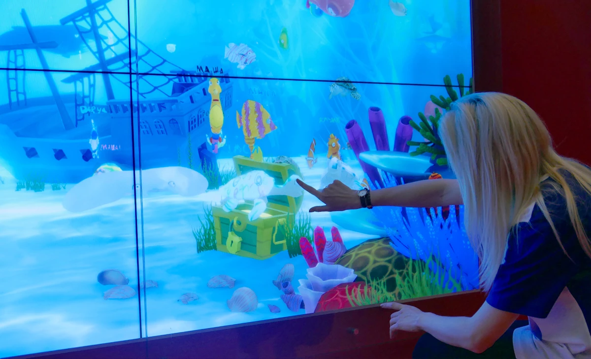 Art Aquarium