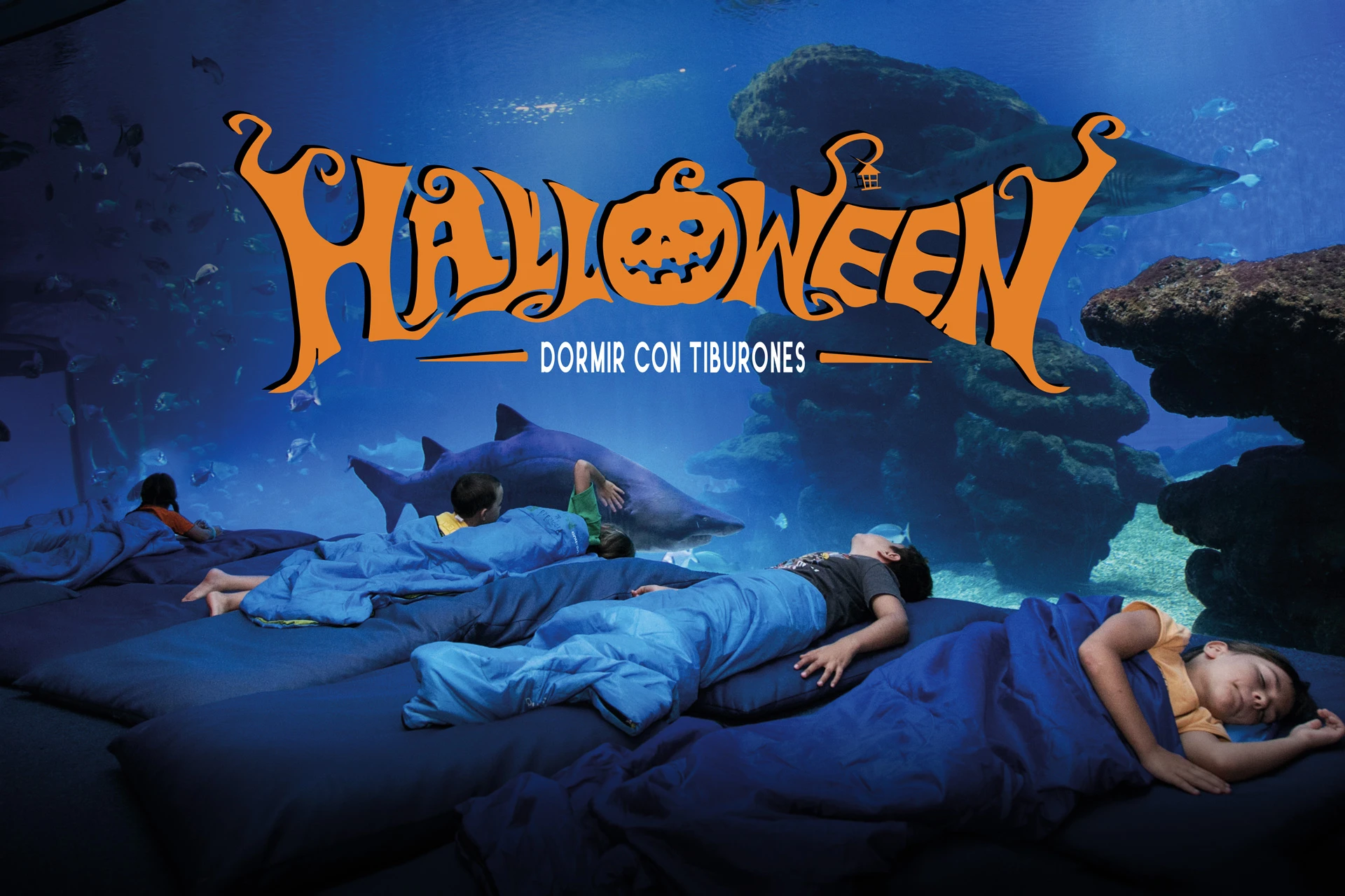 Especial Halloween Dormir con Tiburones
