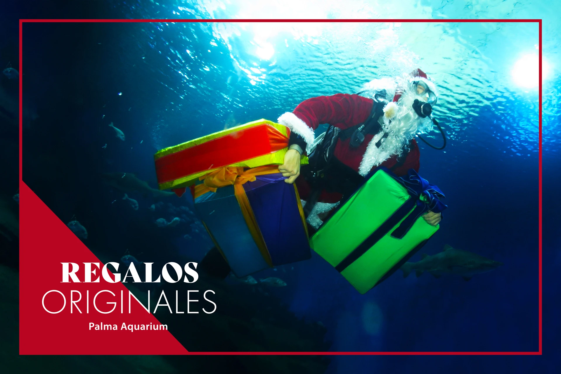 4 regalos originales para navidad: Aqua - Experiencias