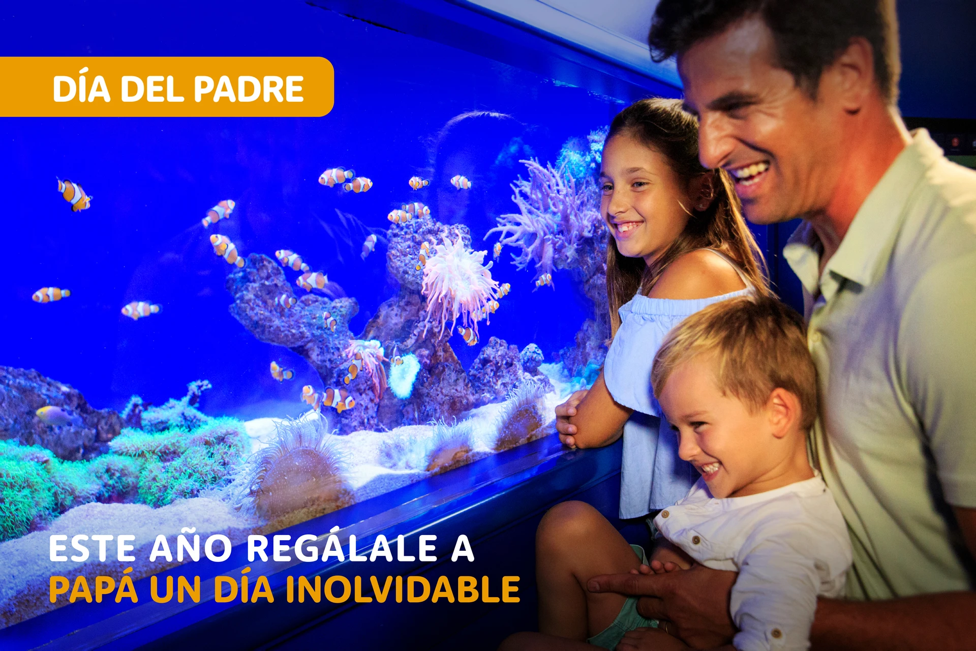 Este año regálale a papá un día inolvidable