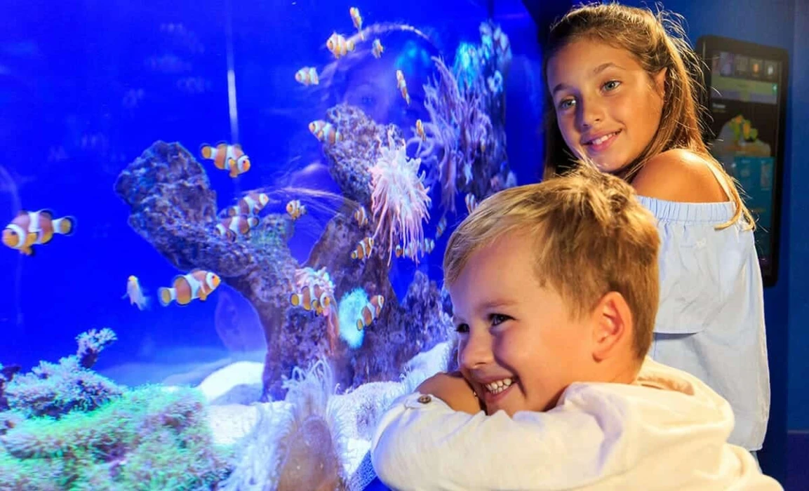 Qué hacer en Mallorca: Palma Aquarium en Familia