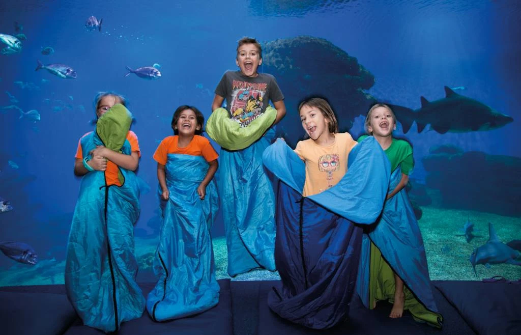 Halloween llega a Palma Aquarium