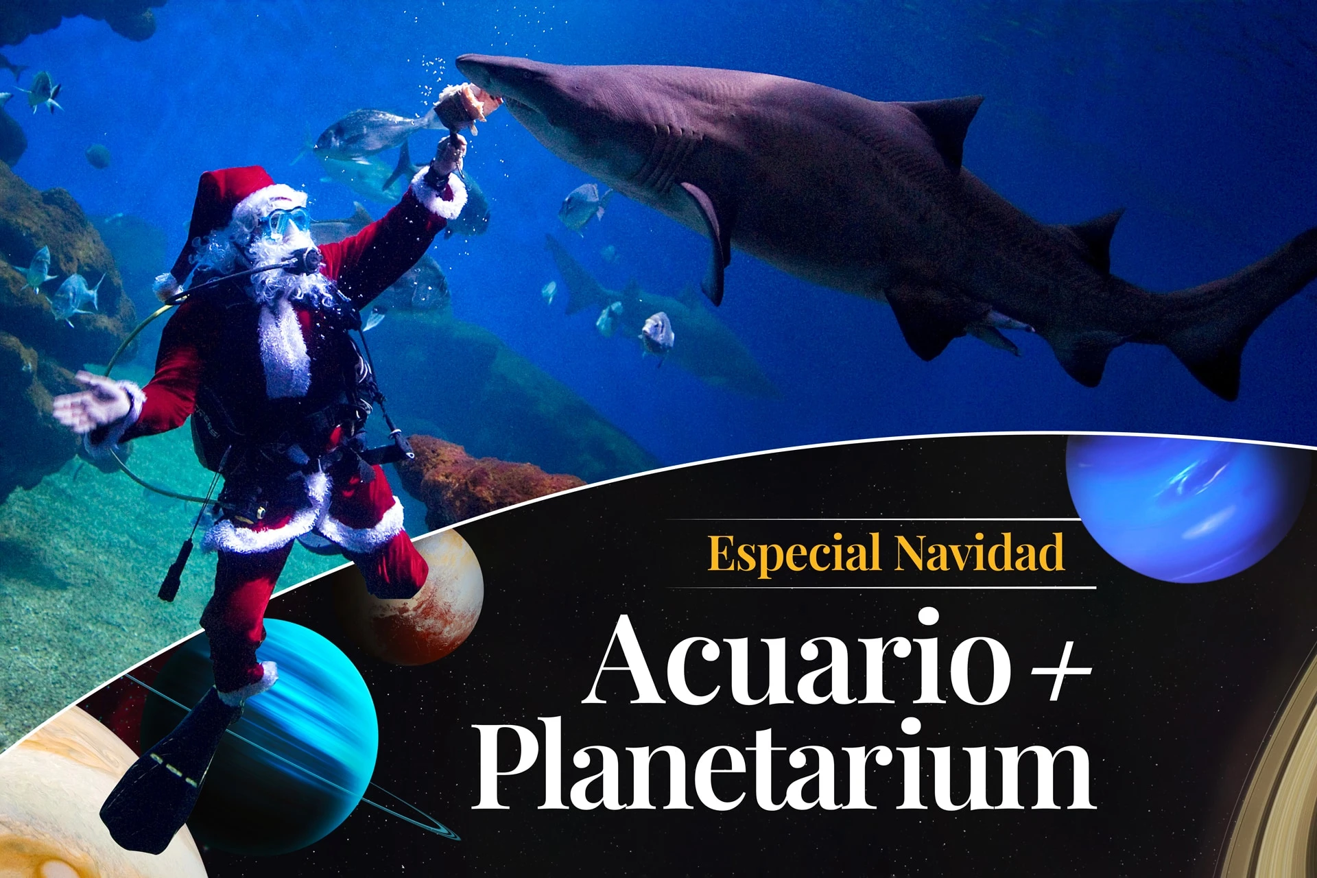 Esta Navidad te acercamos las estrellas