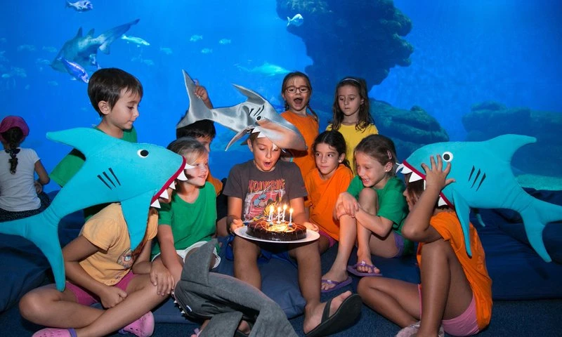 Celebra tu Cumpleaños en Palma Aquarium: Refrescante y Divertido