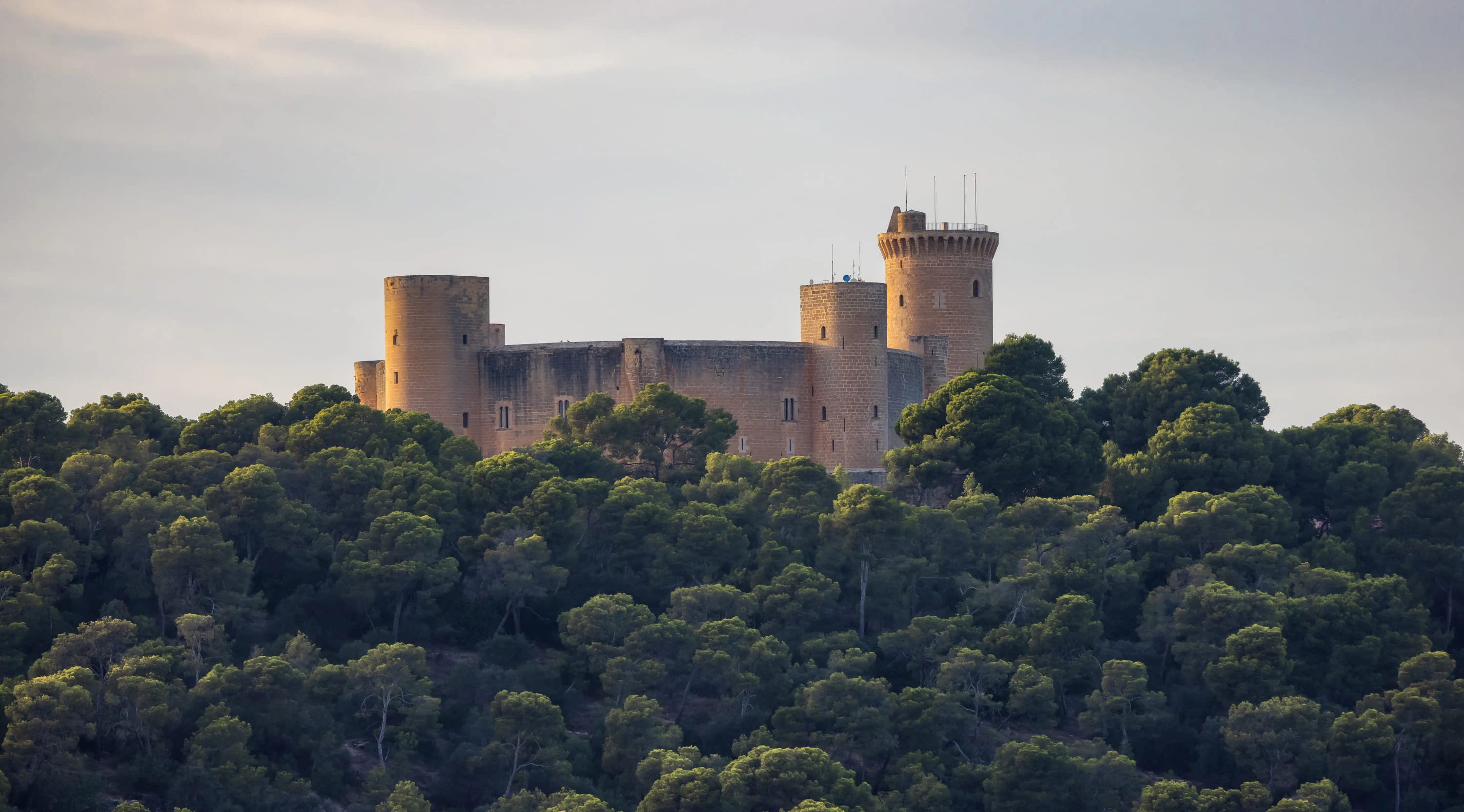 4 planes diferentes en Palma de Mallorca