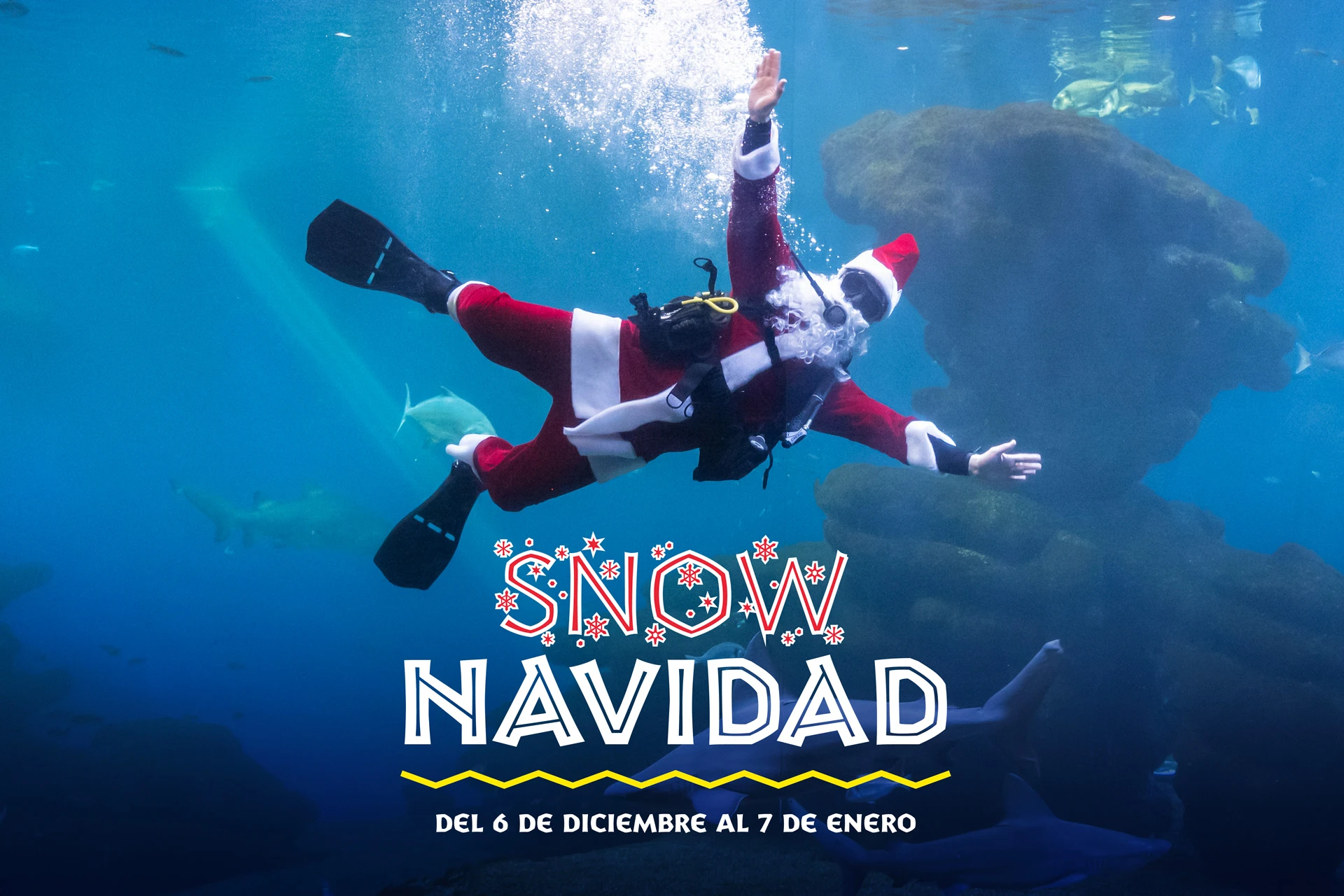 La magia navideña llega a Palma Aquarium