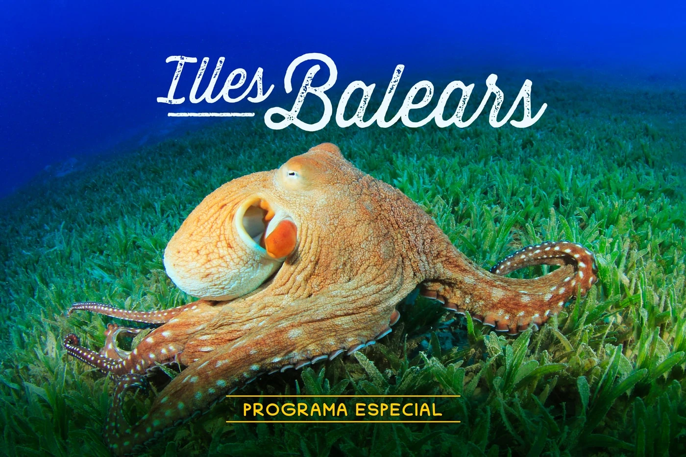 Programa especial pel Dia de les Illes Balears 2024