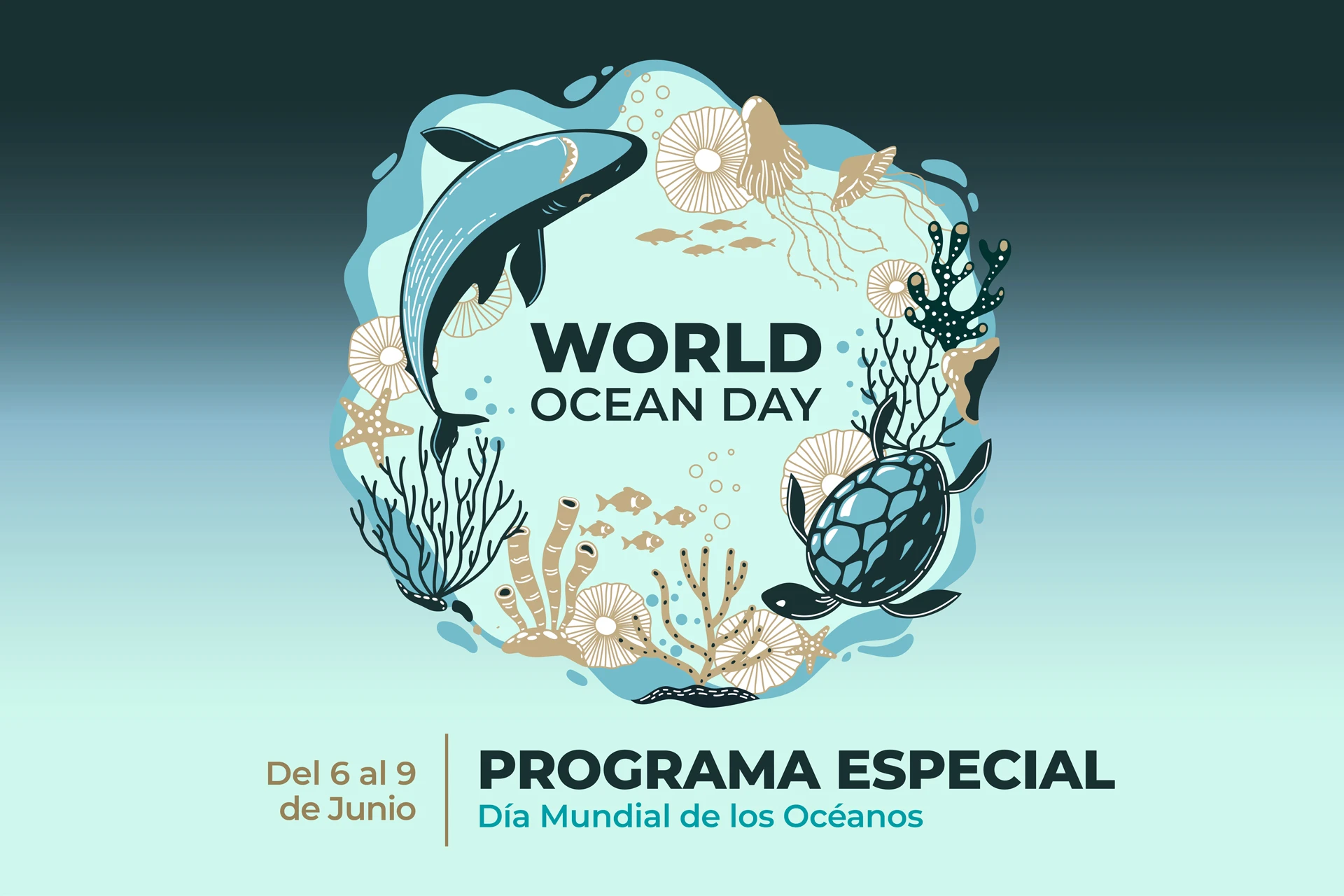 Celebra el Día Mundial de los Océanos con las actividades especiales de Palma Aquarium