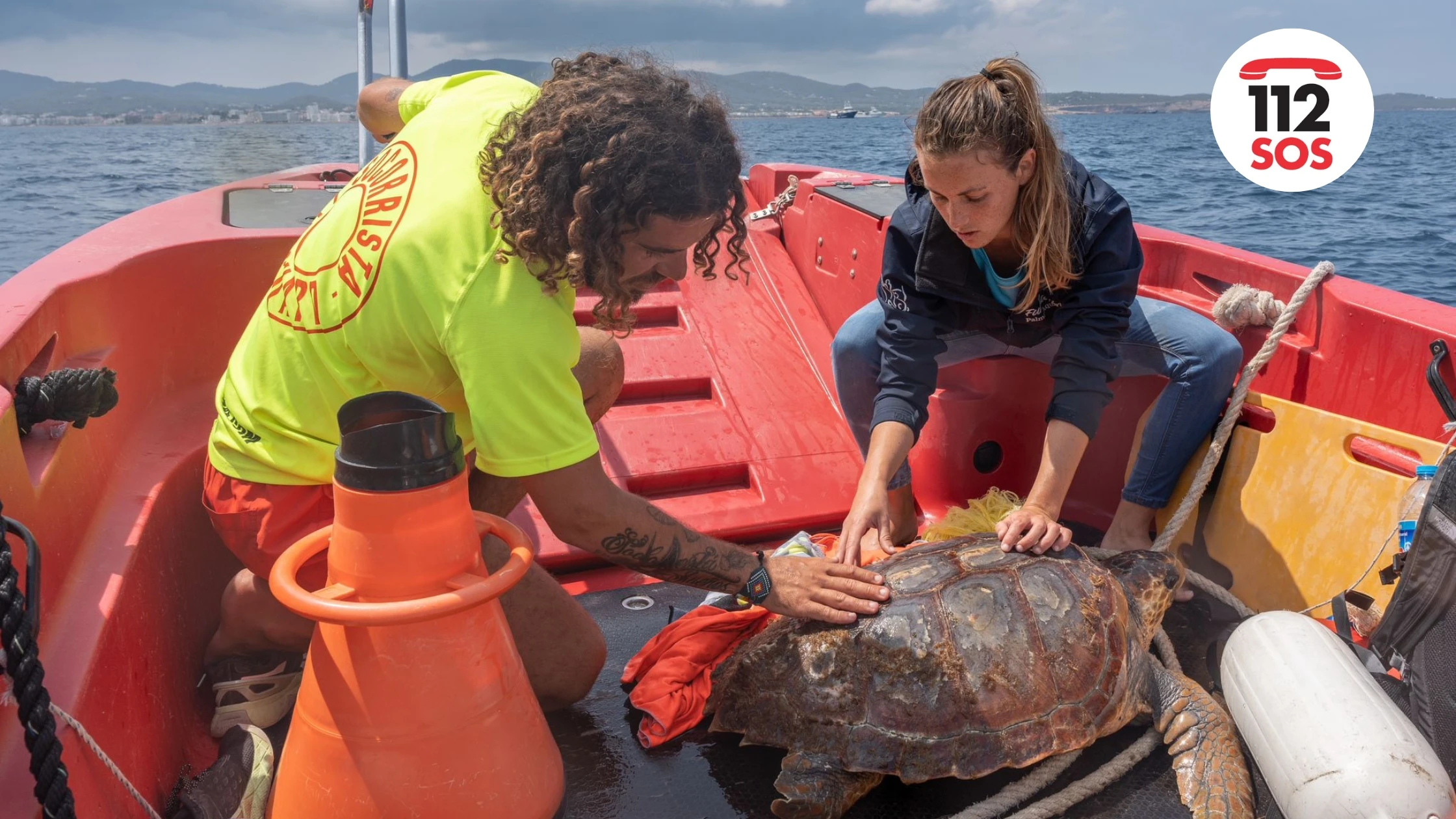 ¿Qué hago si encuentro una tortuga marina herida o en peligro?