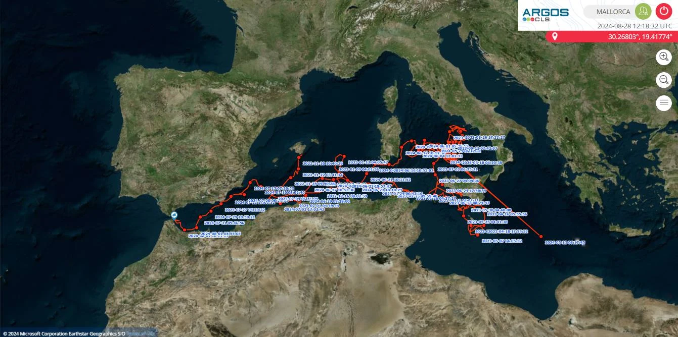 Projectes OCEMIB i SANIMAR: seguiment satel·litari de tortugues marines rehabilitades