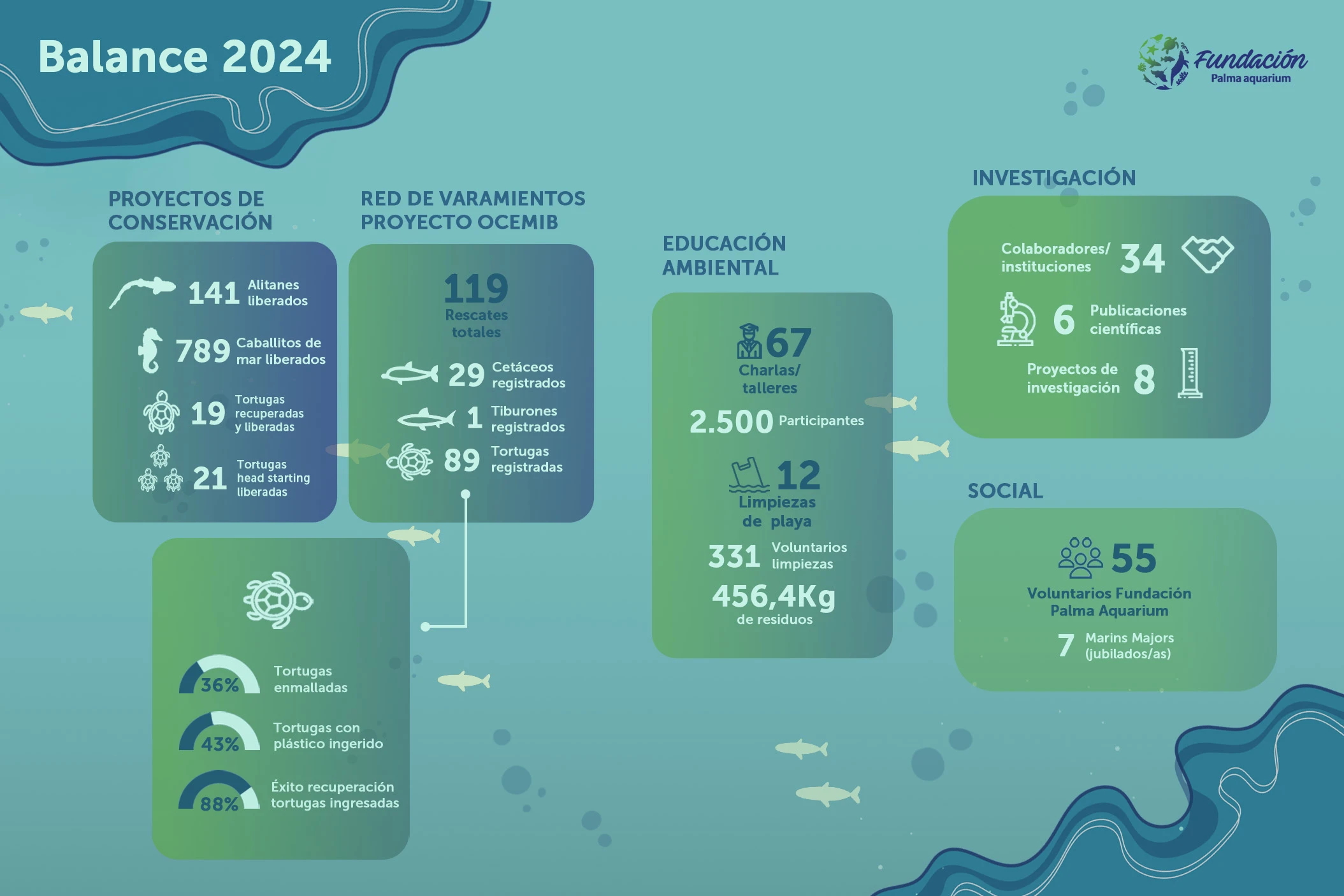 Stiftung Palma Aquarium 2024: Ein Jahr voller Erfolge bei der Erhaltung der Meereswelt