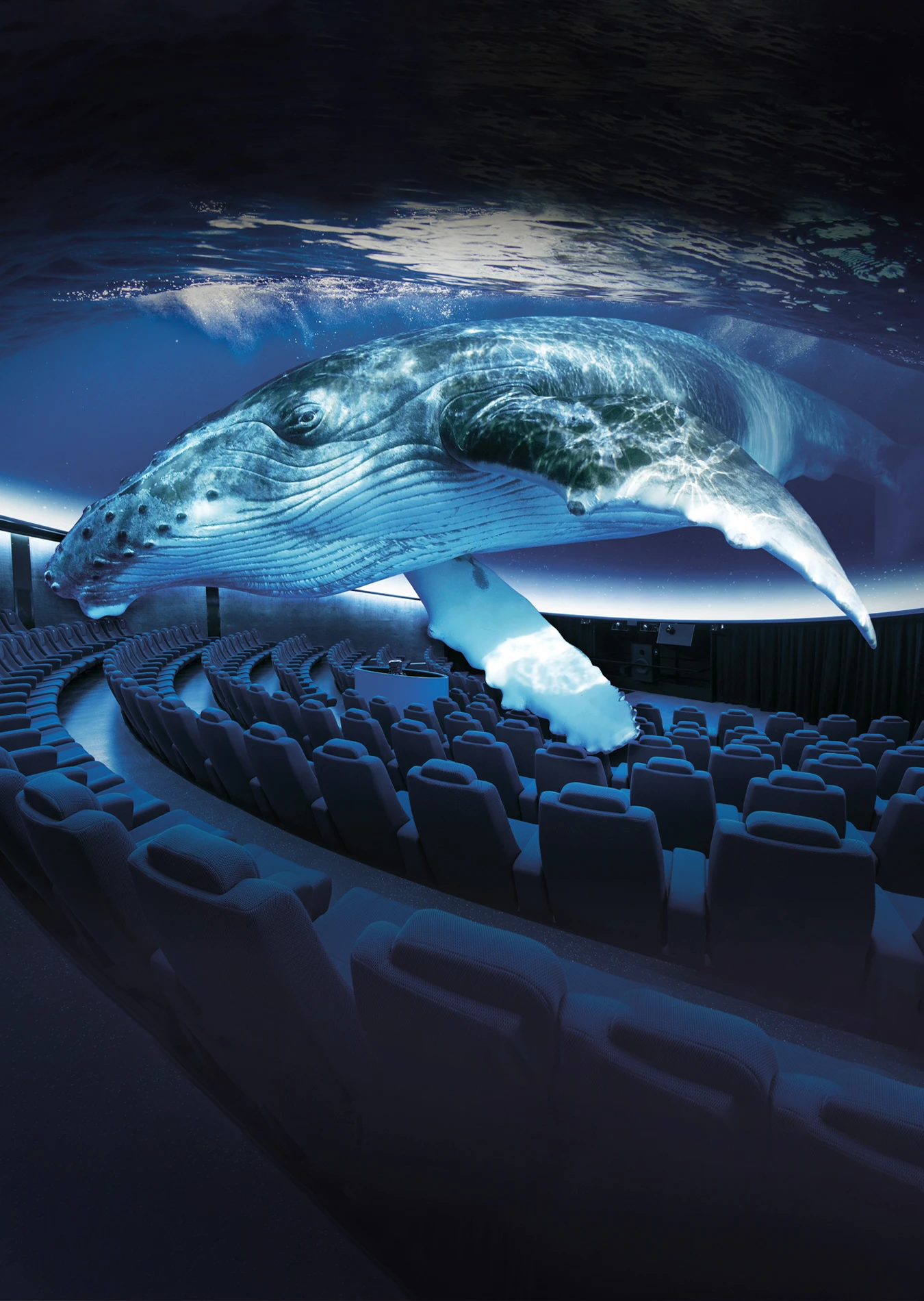 3D Cinema Aquadome