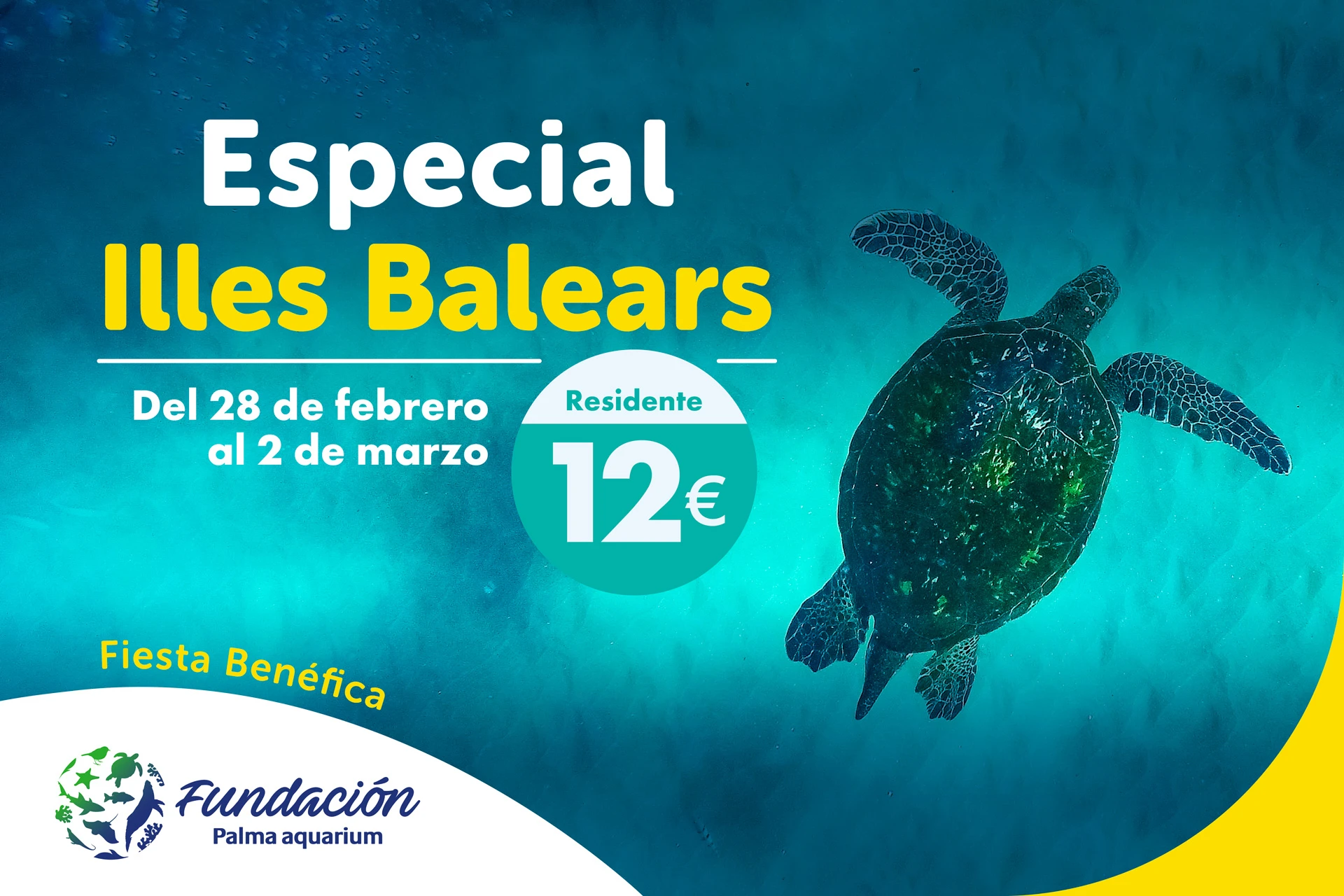Fiesta benéfica por la Fundación Palma Aquarium