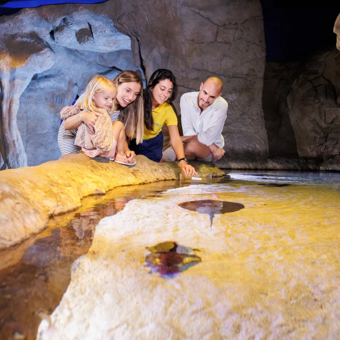 Fiesta benéfica por la Fundación Palma Aquarium