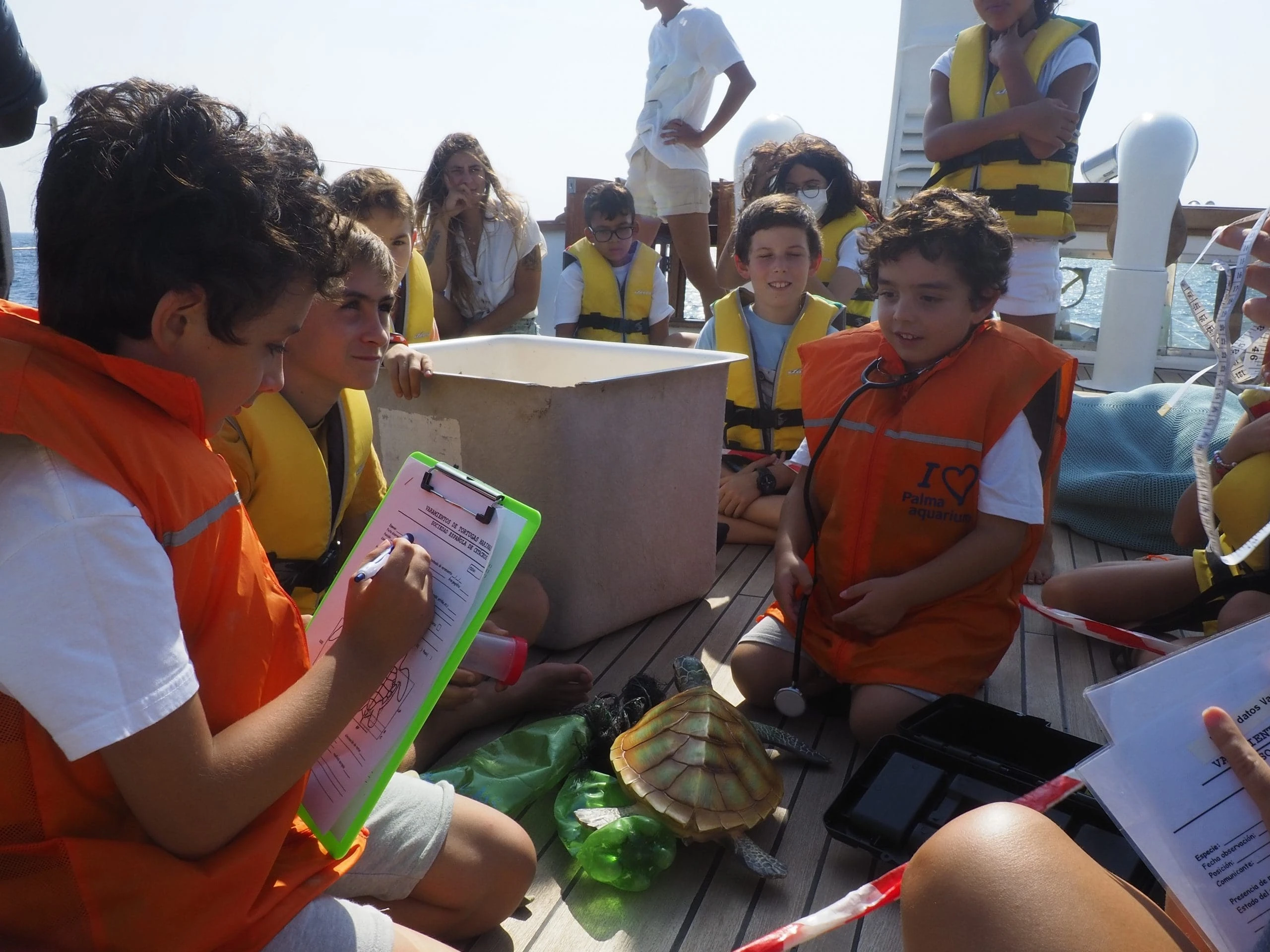 Educación ambiental