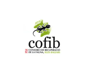 Cofib