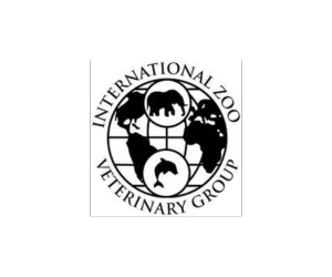 International Zoo