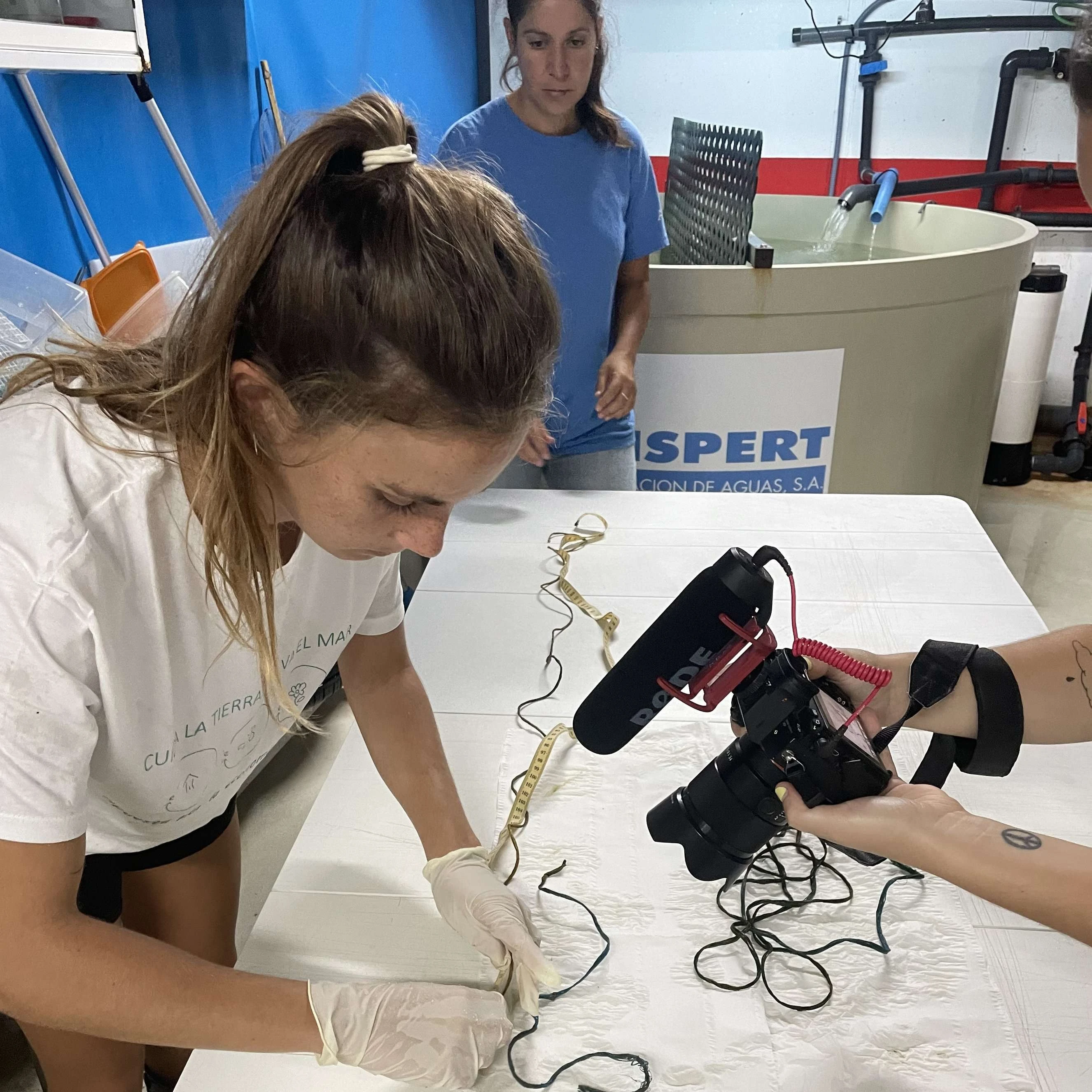 Colaboraciones en proyectos científicos