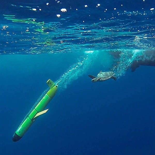 Tortugas Oceanógrafas
