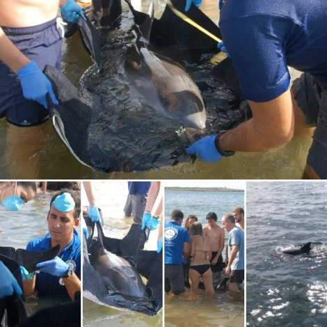 EL EQUIPO DE RESCATE HA ATENDIDO A UN NUEVO VARAMIENTO