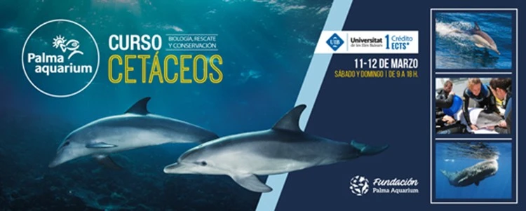 CURSO DE BIOLOGÍA, RESCATE Y CONSERVACIÓN DE CETÁCEOS ¿TE APUNTAS?