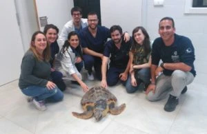 "Kalos" viaja a Valencia para complementar su proceso de recuperación