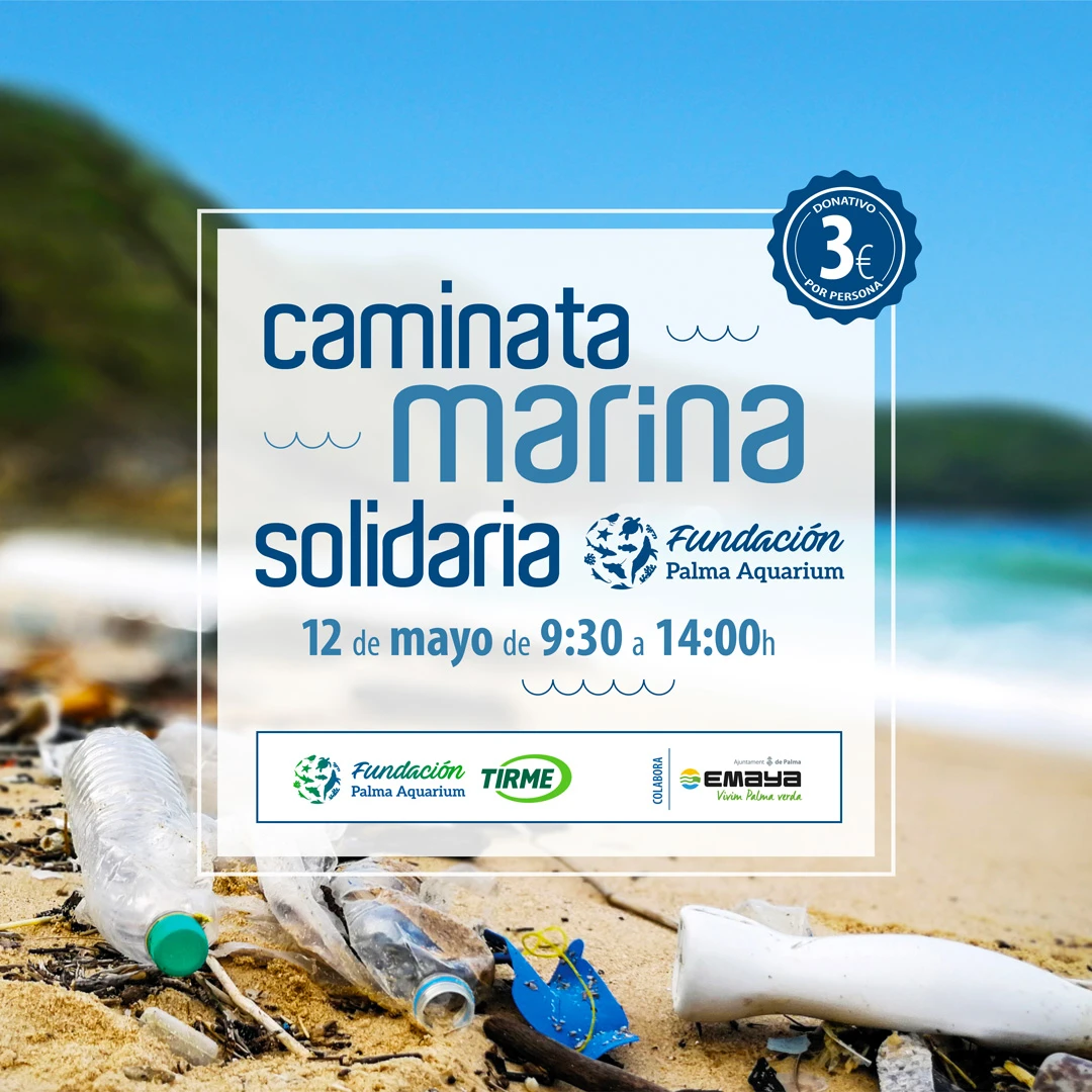 Caminata Marina Solidaria