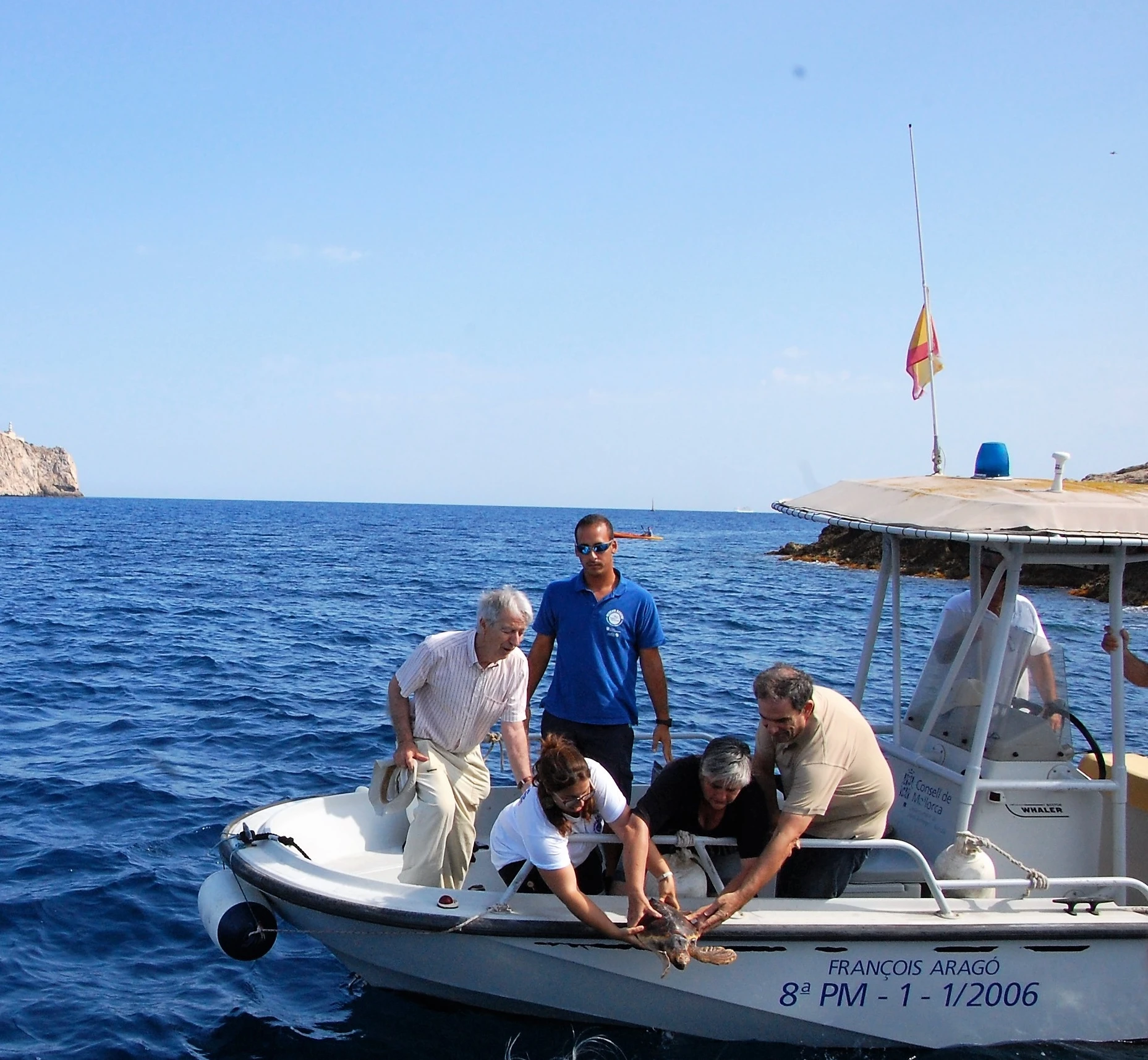 “Meli” vuelve a nadar en la inmensidad del mar balear