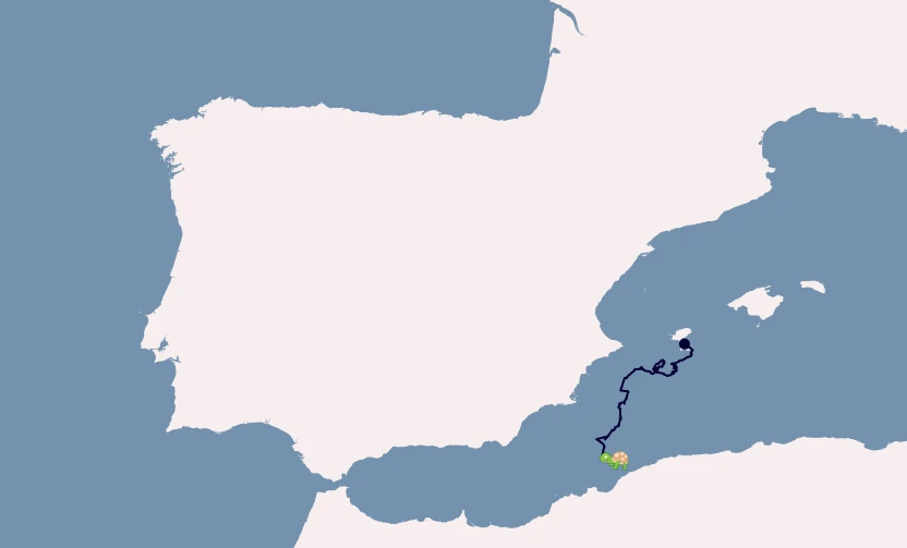 La ruta de Ninja