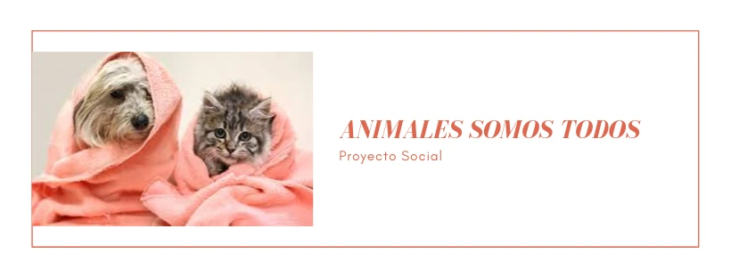 Proyecto social “Animales somos TODOS”