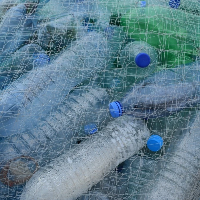 The threats facing marine life