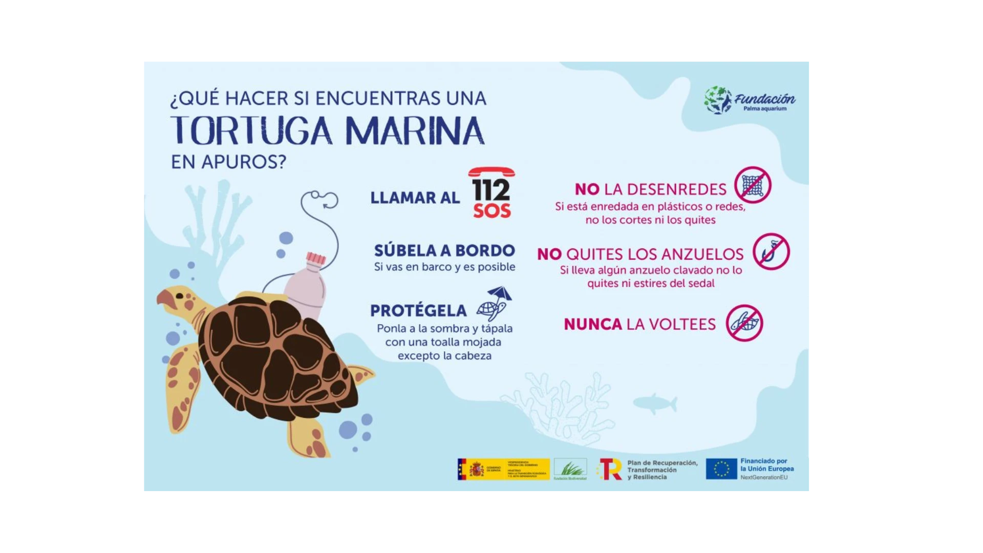 Tortugas