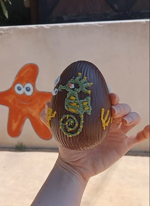 Campus de Pasqua: una aventura marina per a petits exploradors
