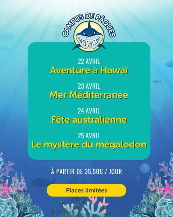Campus de Pasqua: una aventura marina per a petits exploradors