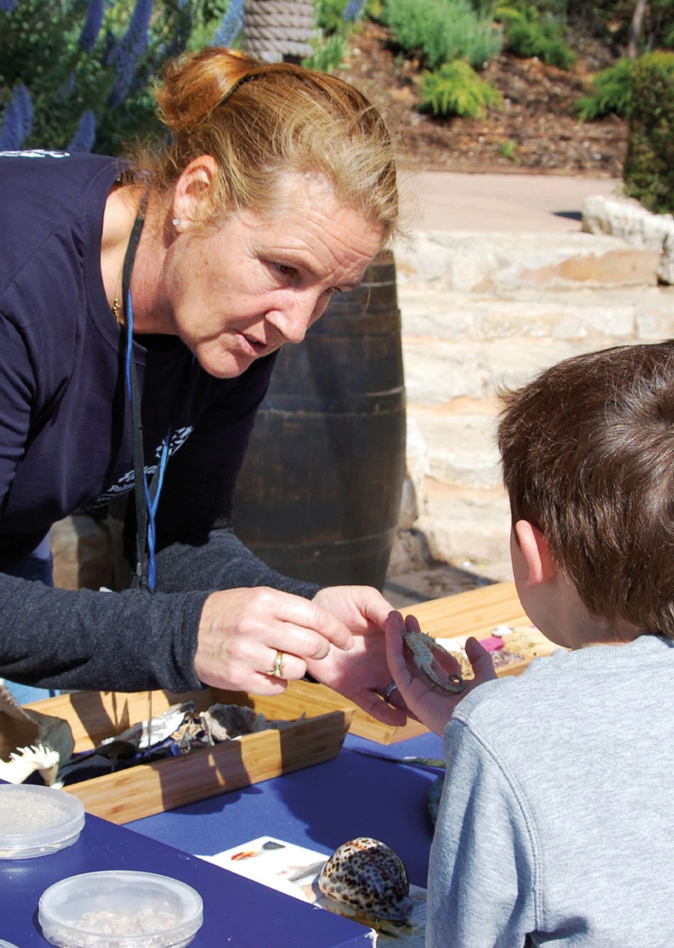 Environmental Education